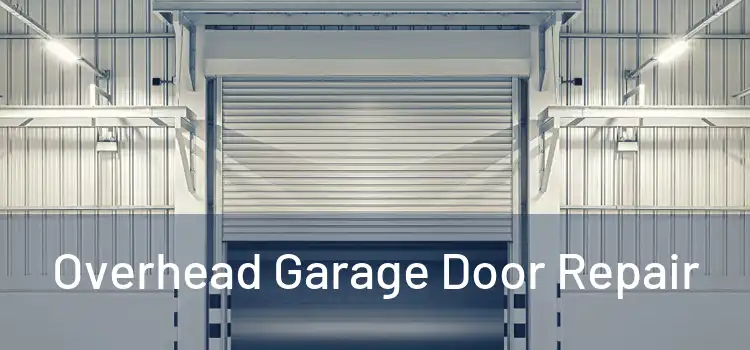  Overhead Garage Door Repair 
